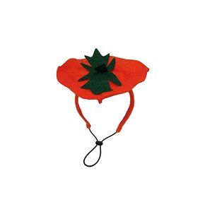 Midlee Dog Pumpkin Headband Halloween Costume, NWT